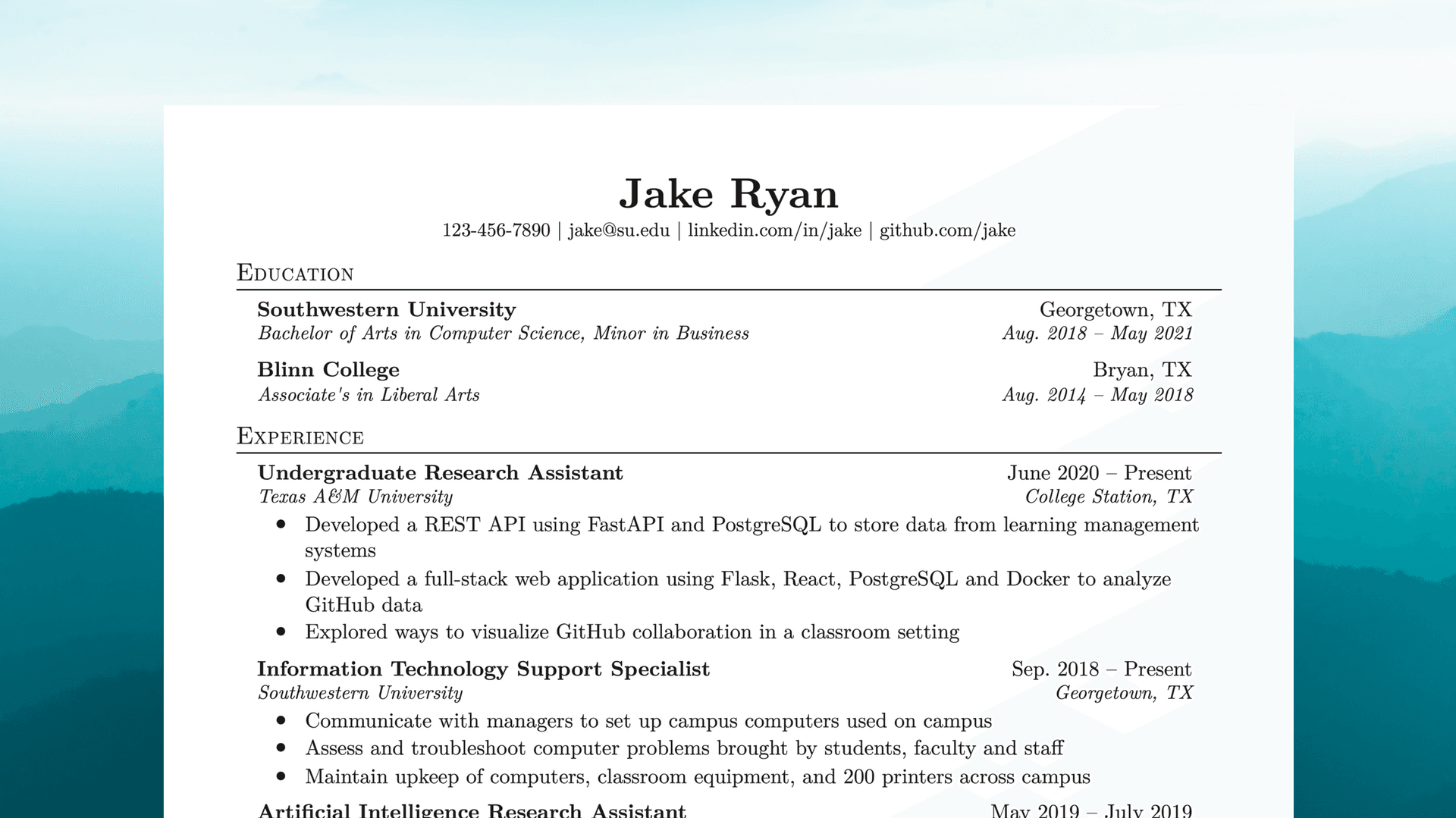 Demo preview of the resume editor